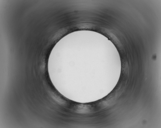 X0000100980261200807221240