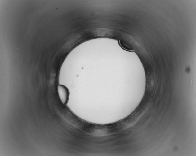 X0000100980263200807221240