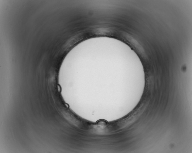 X0000100980265200807221240