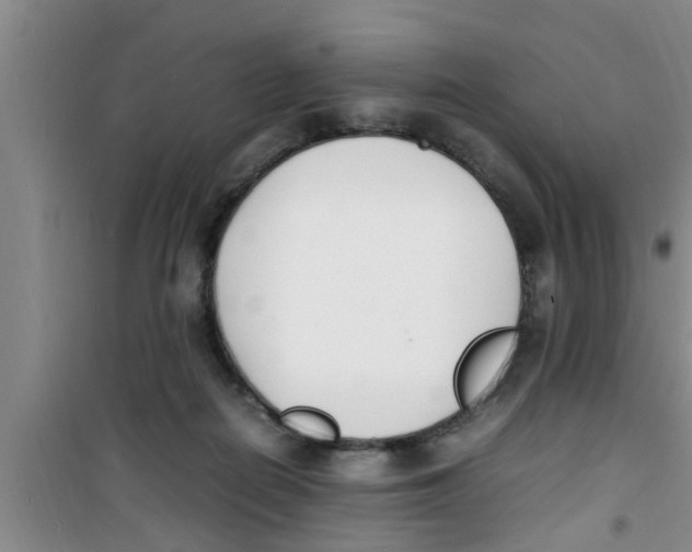 X0000100980266200807221240