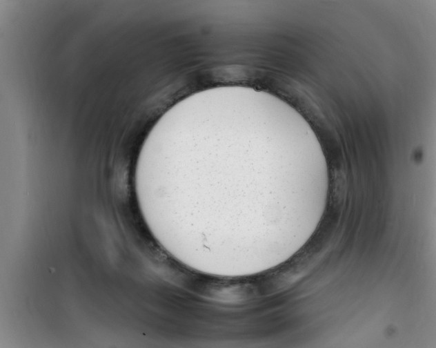 X0000100980267200807221240