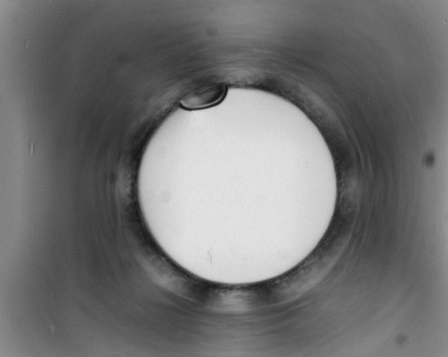 X0000100980268200807221240