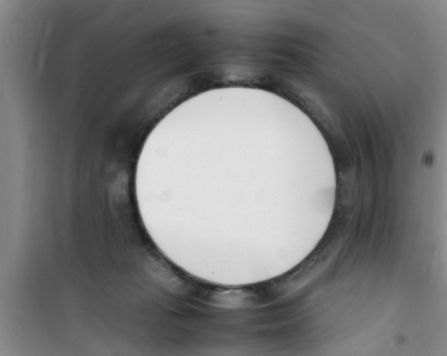 X0000100980269200807221240