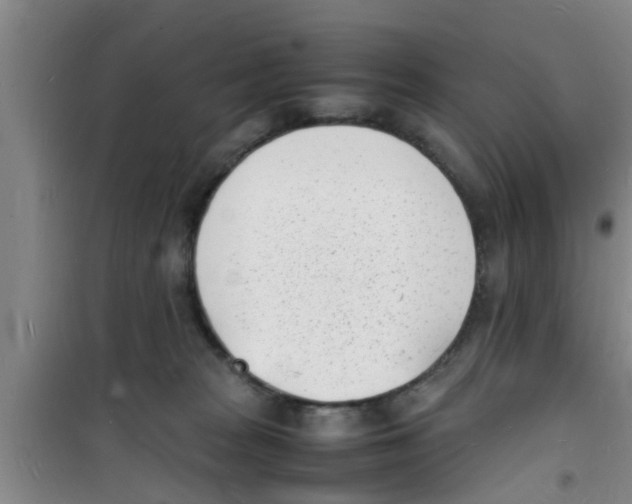 X0000100980277200807221240