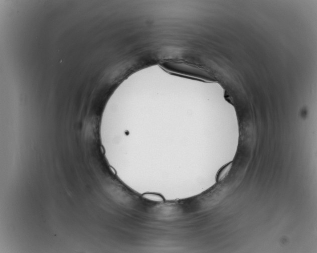 X0000100980280200807221240