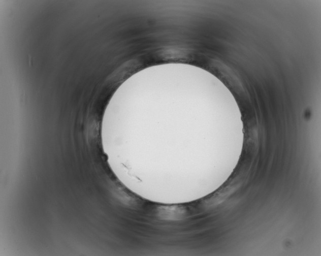 X0000100980281200807221240