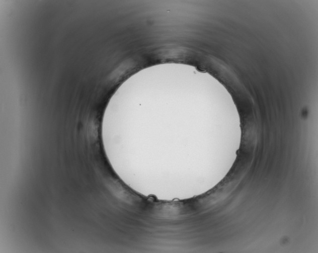 X0000100980282200807221240