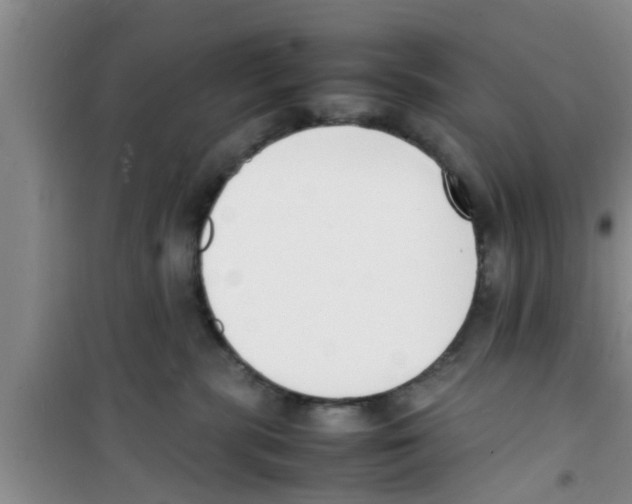 X0000100980283200807221240