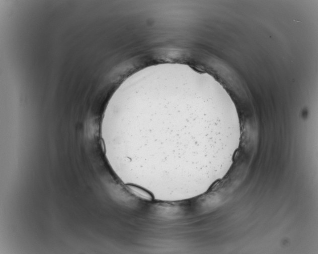 X0000100980284200807221240