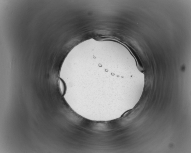 X0000100980285200807221240