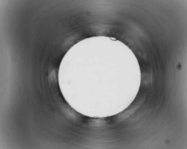 X0000100980286200807221240