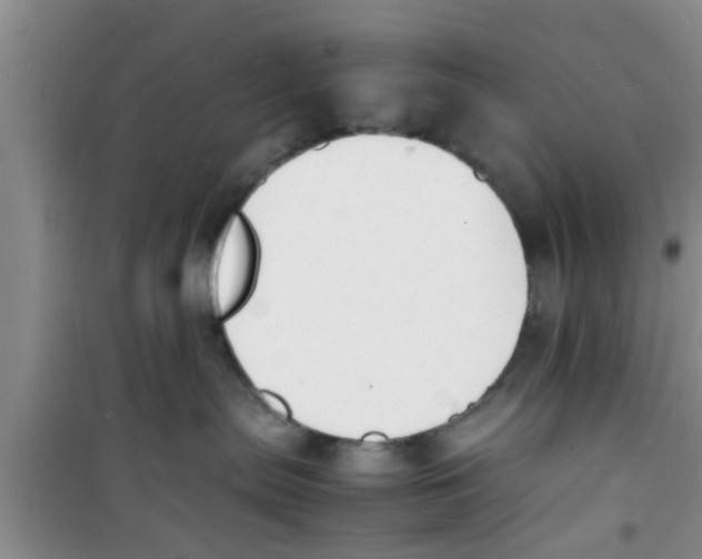 X0000100980287200807221240