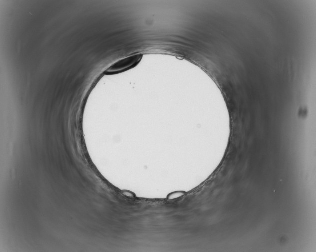 X0000100980289200807221240