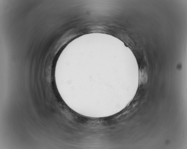 X0000100980291200807221240