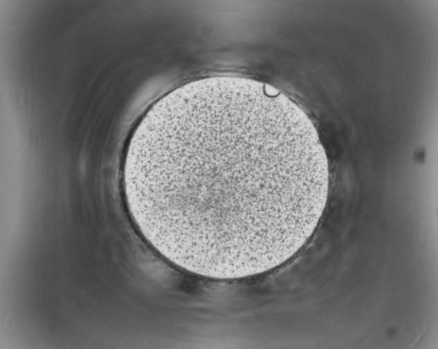 X0000100980293200807221239