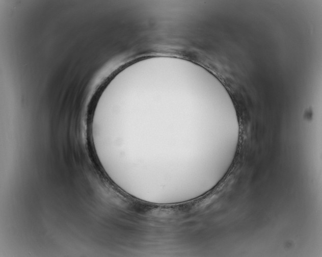 X0000100980294200807221239