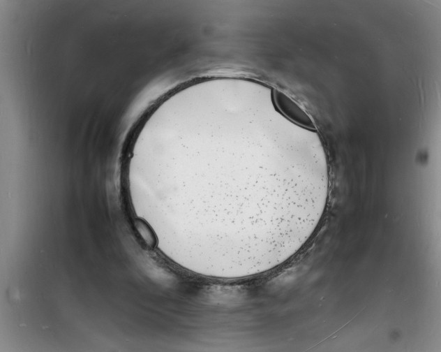 X0000100980296200807221239