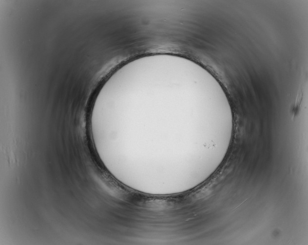 X0000100980298200807221239