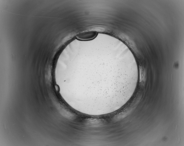 X0000100980300200807221239