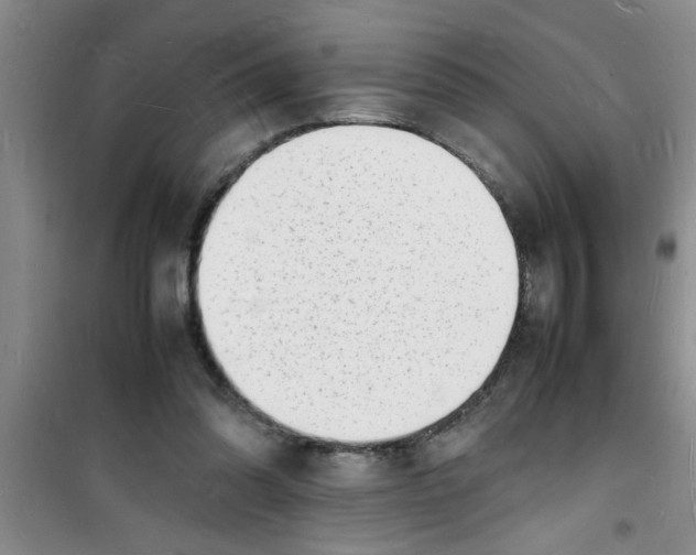 X0000100980302200807221239