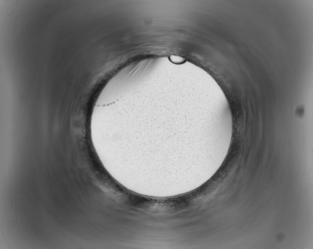 X0000100980303200807221239