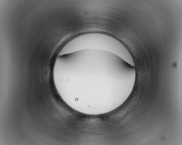 X0000100980304200807221239