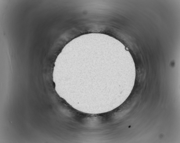 X0000100980307200807221239