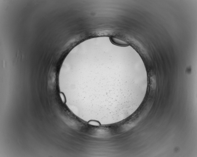 X0000100980308200807221239