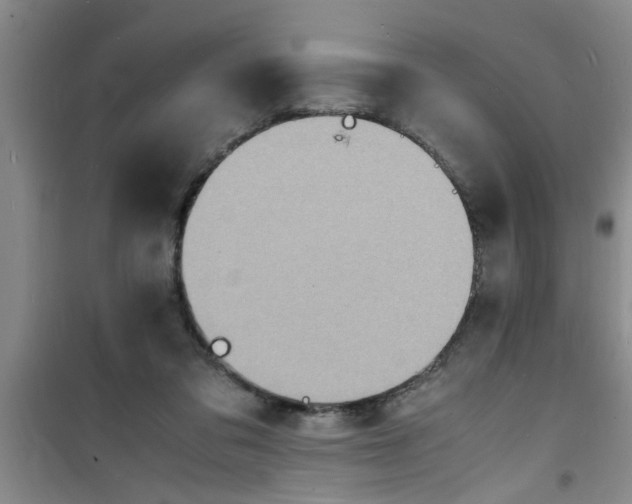 X0000100980309200807221239