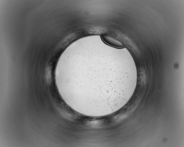 X0000100980312200807221239