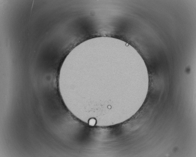 X0000100980313200807221239