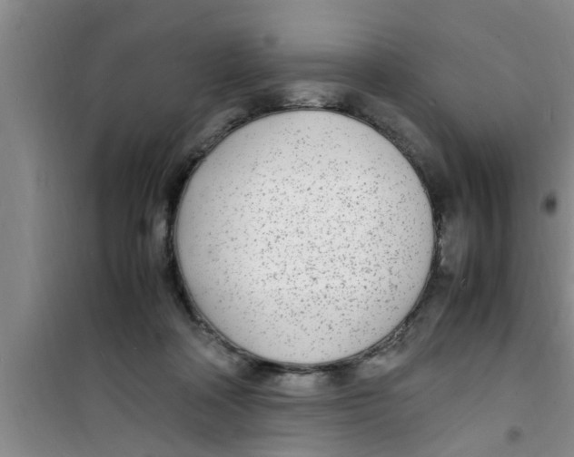 X0000100980314200807221239