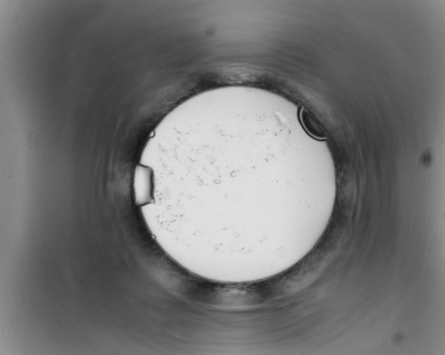 X0000100980315200807221239