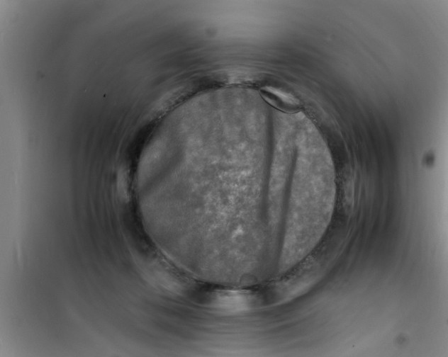 X0000100980316200807221239