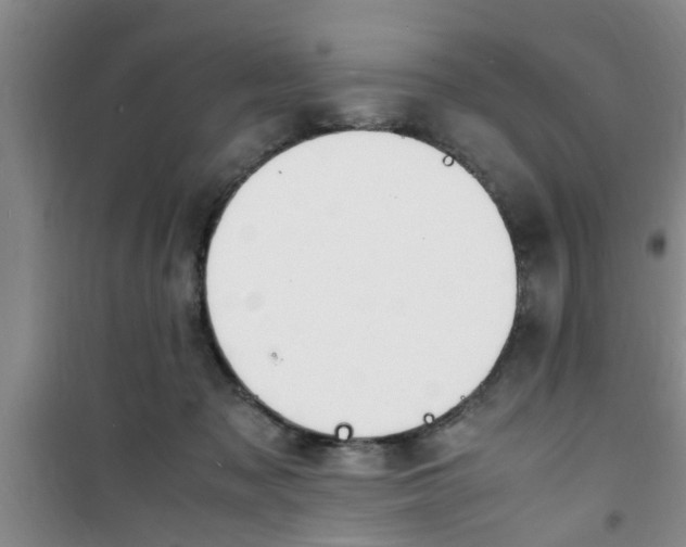 X0000100980317200807221239