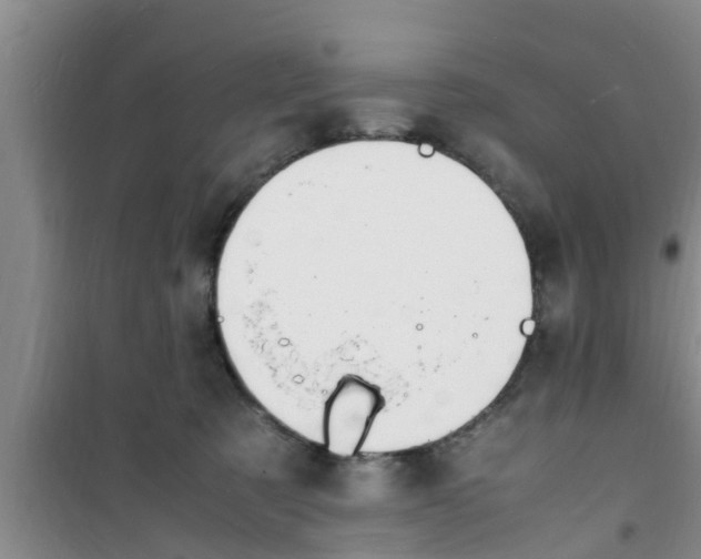 X0000100980321200807221239