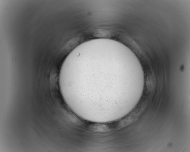 X0000100980322200807221239