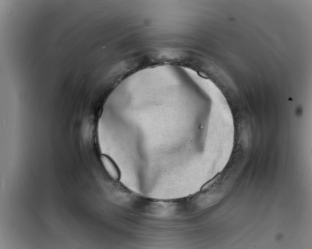 X0000100980328200807221239