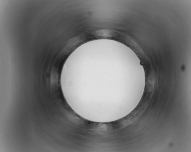 X0000100980330200807221239