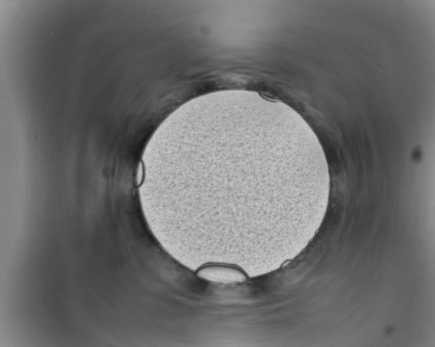 X0000100980331200807221239