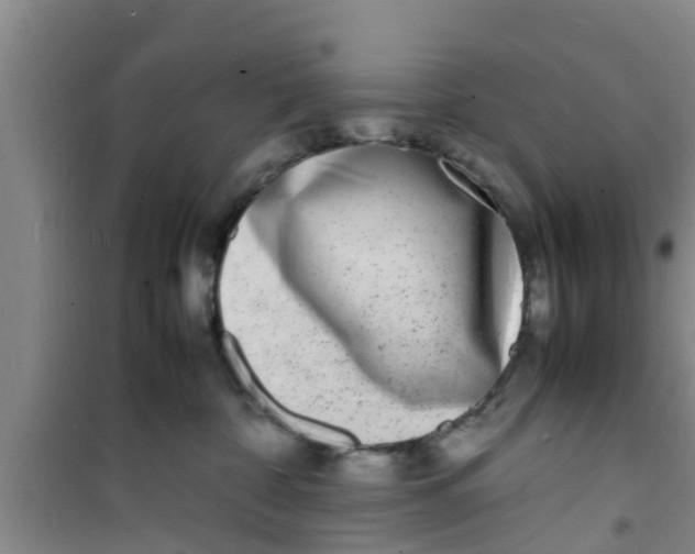 X0000100980332200807221239