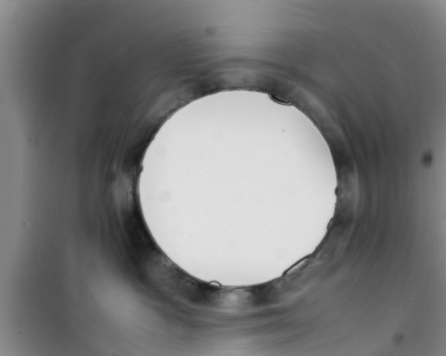 X0000100980333200807221239