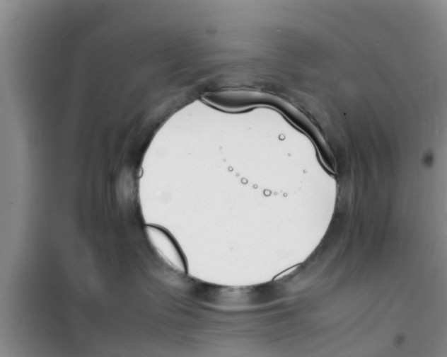 X0000100980335200807221239