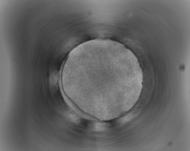 X0000100980336200807221239