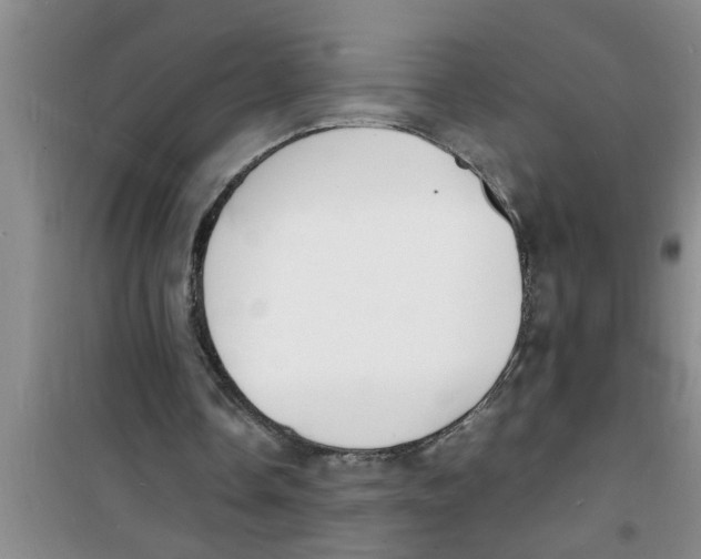 X0000100980338200807221238