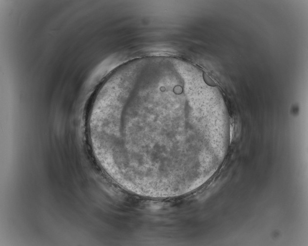 X0000100980339200807221238