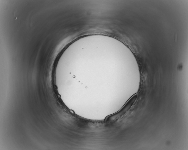 X0000100980340200807221238