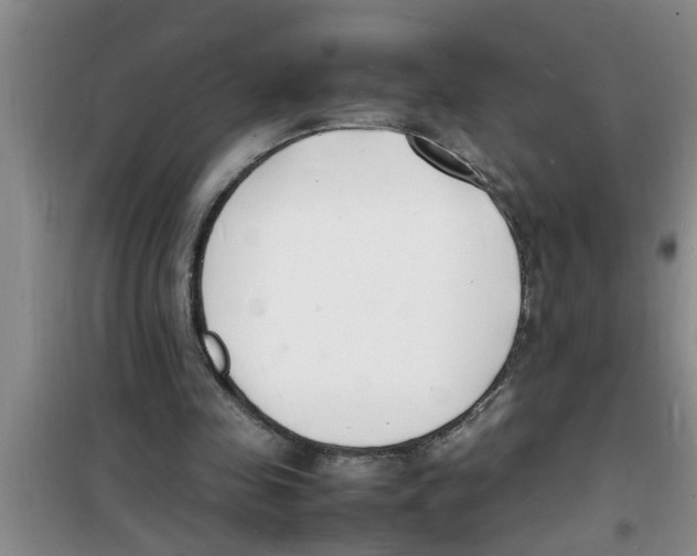 X0000100980341200807221238