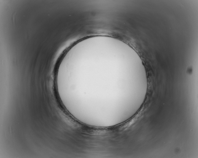 X0000100980342200807221238