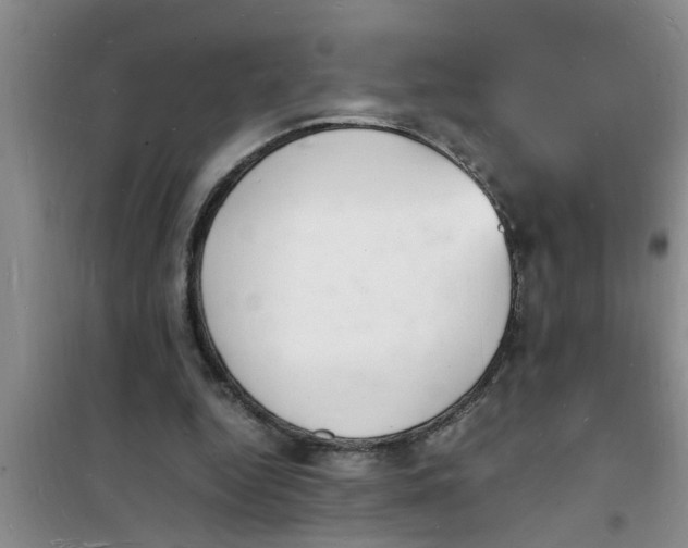 X0000100980344200807221238